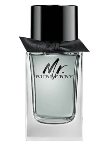 Frasco del perfume Mr Burberry de Burberry — fragancia masculino