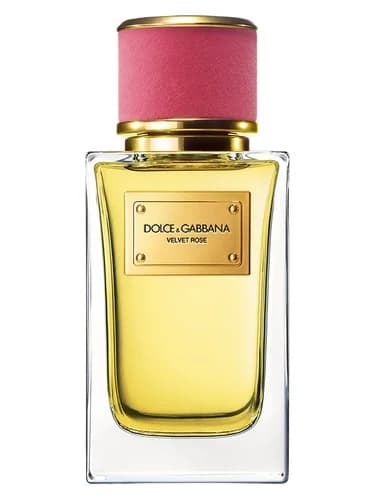 Frasco del perfume Velvet Rose de Dolce Gabbana — fragancia femenino