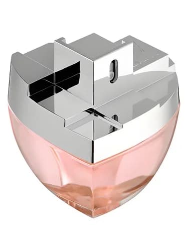 Frasco del perfume Dkny My Ny de Donna Karan — fragancia femenino