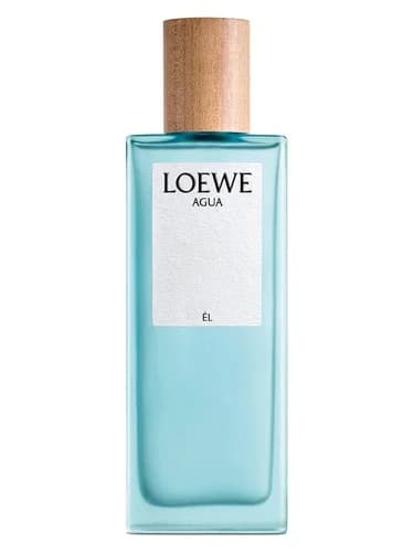 Frasco del perfume Agua De Loewe El de Loewe — fragancia masculino