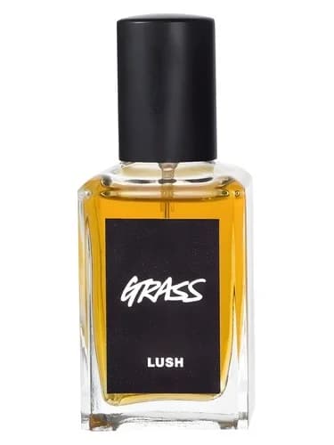Frasco del perfume Grass de Lush — fragancia unisex