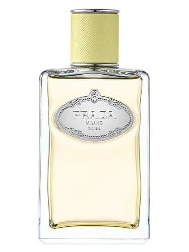 Frasco del perfume Infusion De Gingembre de Prada — fragancia unisex