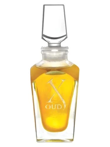 Frasco del perfume Black Sukar de Xerjoff — fragancia unisex