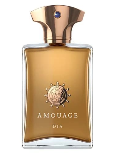 Frasco del perfume Dia Man de Amouage — fragancia masculino