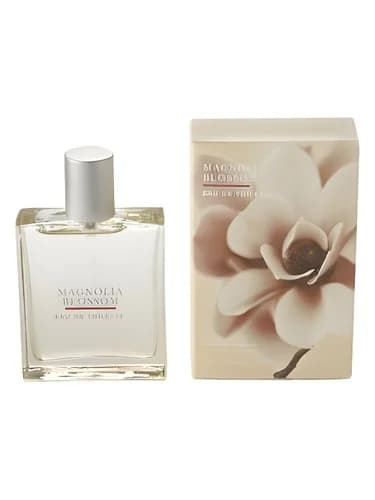 Frasco del perfume Magnolia Blossom de Bath Body Works — fragancia femenino