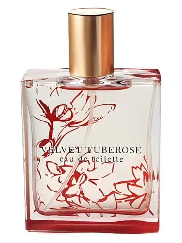 Frasco del perfume Velvet Tuberose de Bath Body Works — fragancia femenino