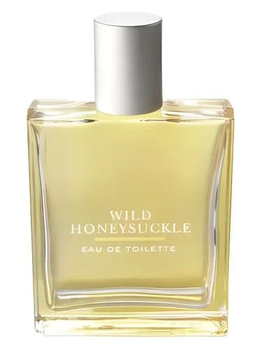 Frasco del perfume Wild Honeysuckle de Bath Body Works — fragancia femenino