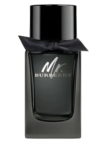 Frasco del perfume Mr Burberry Eau De Parfum de Burberry — fragancia masculino