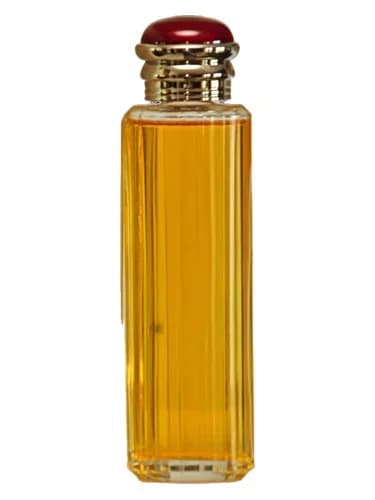 Frasco del perfume Society de Burberry — fragancia femenino