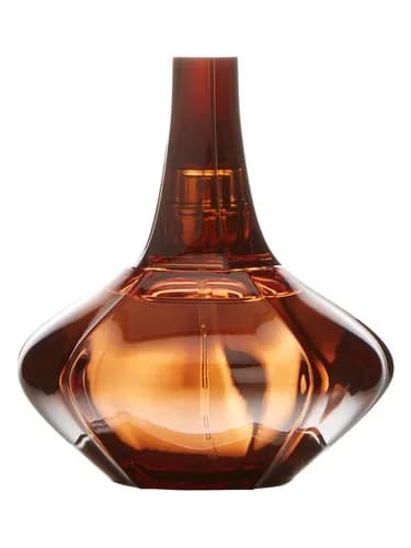 Frasco del perfume Secret Obsession de Calvin Klein — fragancia femenino