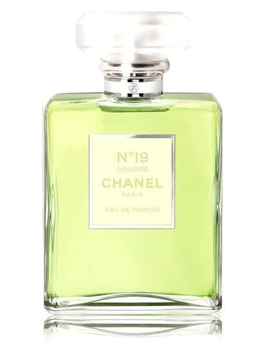 Frasco del perfume Chanel No 19 Poudre de Chanel — fragancia femenino