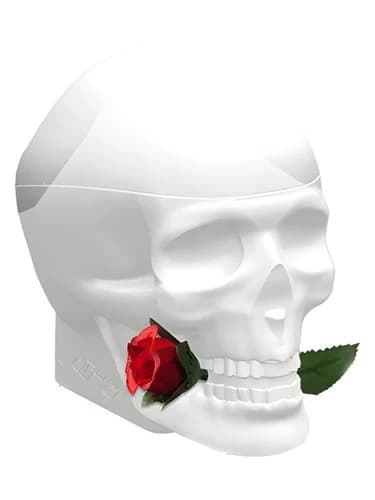 Frasco del perfume Ed Hardy Skulls Roses For Her de Christian Audigier — fragancia femenino
