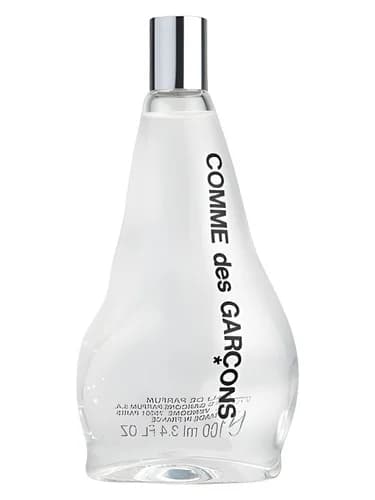 Frasco del perfume Comme Des Garcons 2011 de Comme Des Garcons — fragancia unisex