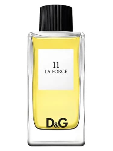 Frasco del perfume D G Anthology La Force 11 de Dolce Gabbana — fragancia masculino