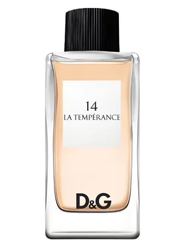 Frasco del perfume D G Anthology La Temperance 14 de Dolce Gabbana — fragancia femenino