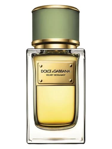Frasco del perfume Velvet Bergamot de Dolce Gabbana — fragancia masculino