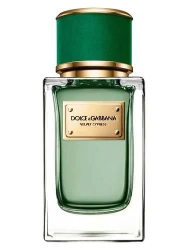 Frasco del perfume Velvet Cypress de Dolce Gabbana — fragancia unisex