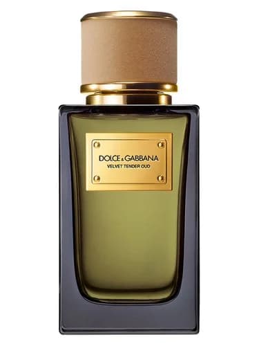Frasco del perfume Velvet Tender Oud de Dolce Gabbana — fragancia unisex