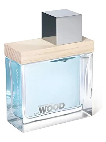 Frasco del perfume She Wood Crystal Creek Wood de Dsquared2 — fragancia femenino