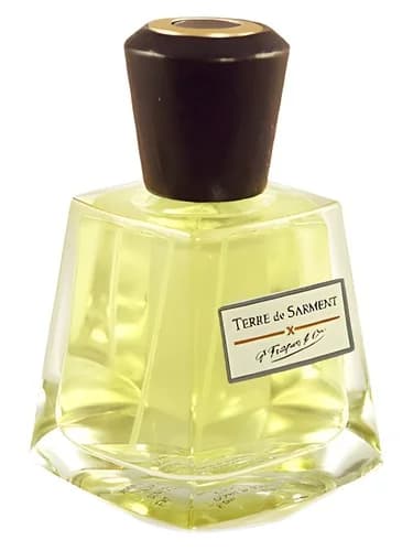 Frasco del perfume Terre De Sarment de Frapin — fragancia unisex