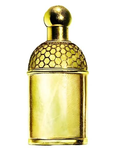 Frasco del perfume Aqua Allegoria Laurier Reglisse de Guerlain — fragancia femenino