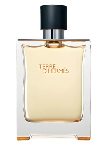 Frasco del perfume Terre D Hermes de Hermes — fragancia masculino