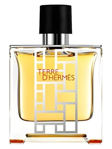 Frasco del perfume Terre D Hermes Flacon H 2013 de Hermes — fragancia masculino