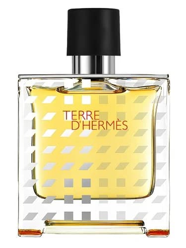 Frasco del perfume Terre D Hermes Flacon H 2019 Parfum de Hermes — fragancia masculino