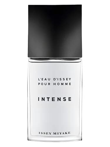 Frasco del perfume L Eau D Issey Pour Homme Intense de Issey Miyake — fragancia masculino