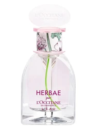 Frasco del perfume Herbae L Eau de L Occitane En Provence — fragancia femenino