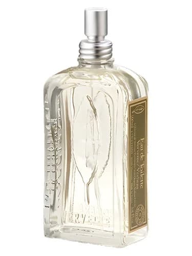 Frasco del perfume Verveine de L Occitane En Provence — fragancia unisex
