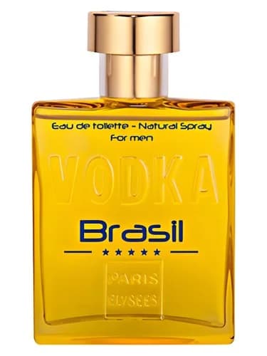 Frasco del perfume Vodka Brasil Yellow de Paris Elysees — fragancia masculino