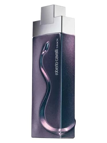 Frasco del perfume Roberto Cavalli Black de Roberto Cavalli — fragancia masculino