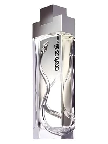 Frasco del perfume Roberto Cavalli Man de Roberto Cavalli — fragancia masculino