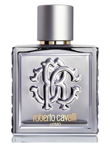 Frasco del perfume Roberto Cavalli Uomo Silver Essence de Roberto Cavalli — fragancia masculino