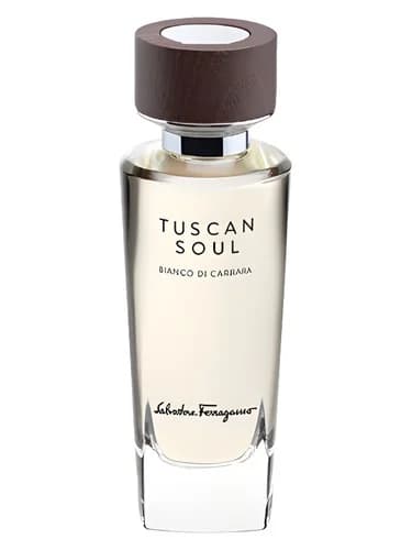 Frasco del perfume Bianco Di Carrara 2013 de Salvatore Ferragamo — fragancia unisex