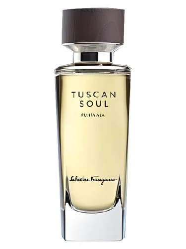 Frasco del perfume Punta Ala 2014 de Salvatore Ferragamo — fragancia unisex