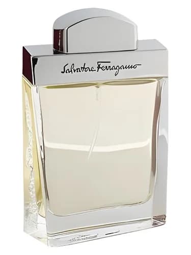 Frasco del perfume Salvatore Ferragamo Pour Homme de Salvatore Ferragamo — fragancia masculino