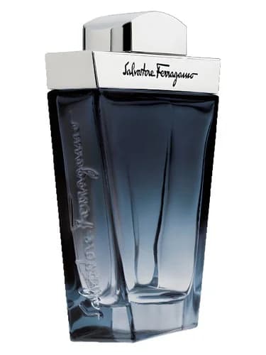 Frasco del perfume Subtil Pour Homme de Salvatore Ferragamo — fragancia masculino