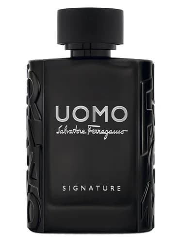 Frasco del perfume Uomo Salvatore Ferragamo Signature de Salvatore Ferragamo — fragancia masculino