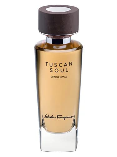 Frasco del perfume Vendemmia 2013 de Salvatore Ferragamo — fragancia unisex