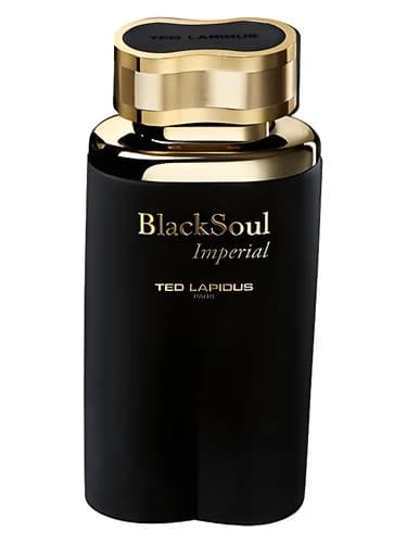 Frasco del perfume Black Soul Imperial de Ted Lapidus — fragancia masculino