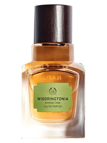 Frasco del perfume Widdringtonia de The Body Shop — fragancia unisex