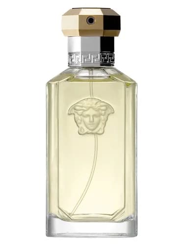 Frasco del perfume Dreamer The Original Edition de Versace — fragancia masculino