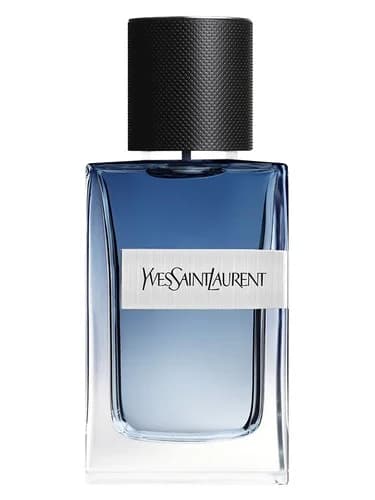Frasco del perfume Y Live de Yves Saint Laurent — fragancia masculino
