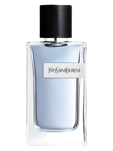 Frasco del perfume Yves Saint Laurent Y de Yves Saint Laurent — fragancia masculino